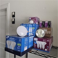 LED Light Bulbs Of All Sizes & Watts