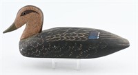 Albanus Phillips 1984 carved Black Duck decoy