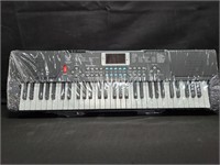 61 Keys Electronic Keyboard (Keyboard only)