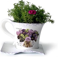 Ceramic Planter Plant Container w/ Tray - Purple