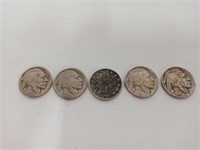 1895 V Nickel & Buffalo Nickels