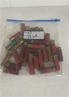 12 Gauge Shotgun shells