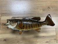 19" Small Mouth Bass Mount
