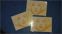 3 new 7 in by 5 in Marilyn Monroe note cards with