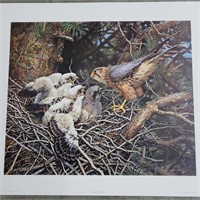 SIGNED CARL BENDERS "MERLINS AT THE NEST"