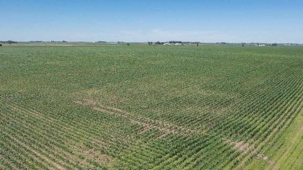 Franklin County Iowa Land Auction, 164 Acres M/L