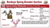 Pink 26 bred doe - Juggernaut