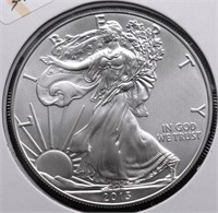 2013 SILVER EAGLE GEM