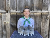Emma Brito, Fortuna 4-H, Pen of Rabbits