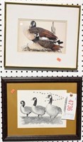“Canada Geese” framed print of sketch by Allen