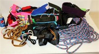 Climbing Gear - 4 Harnesses Ropes & Belts