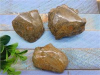 PETOSKEY FOSSILIZED CORAL ROCK STONE LAPIDARY SPEC