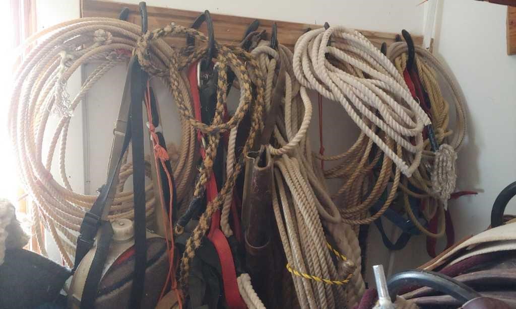 Ropes, Halters & More
