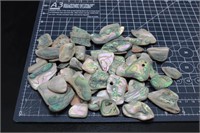 Abalone Shell Pieces, 15oz
