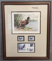 Framed New Zealand Duck Picture w/ Stamps