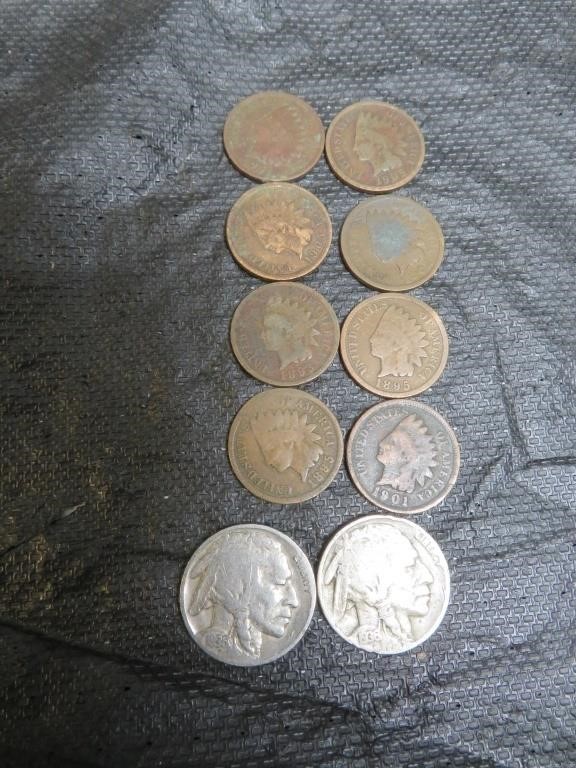 2 Buffalo Nickels (Both 1936) and 8 Indian Head