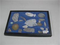 Assorted Prehistoric Finds In 8.25"x 12" Case