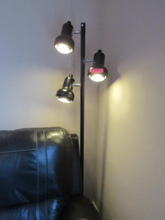 2 Asst'd. Lamps: Ott-Lite & Floor Lamp