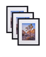 A PLUS MAX Black 20”x24” Photo Frames matted to 1