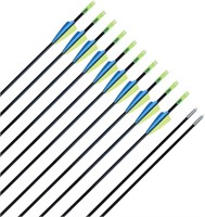 Fiberglass Practice Arrows Recurve Archery