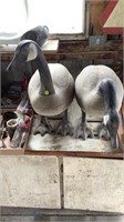 Geese decoys