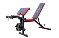 Weight Bench Model Zf-0104