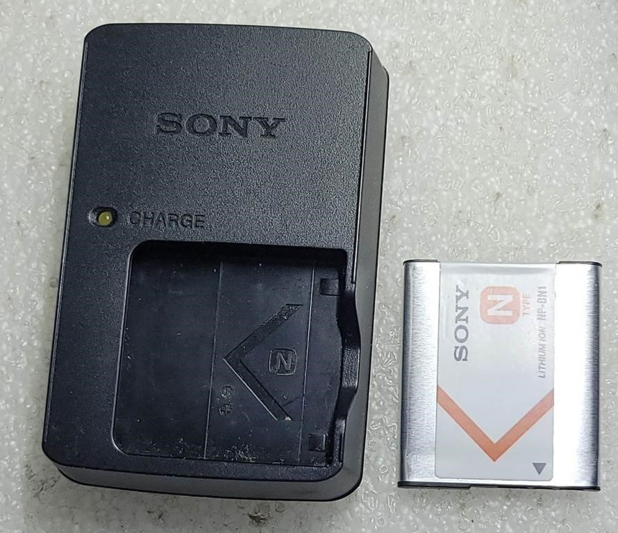 Sony charger with battery