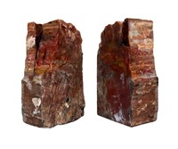 PETRIFIED WOOD BOOKENDS