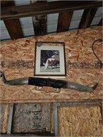 Mounted bull horns and a picture of the bull
