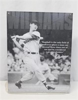 TED WILLIAMS SIGN