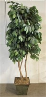 7 FT Artificial Ficus in Metal Container