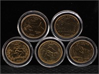 Gold Plated 2006 State Quarter Set