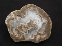 AGATE ROCK STONE LAPIDARY SPECIMEN