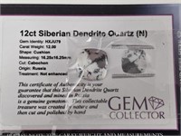 12ct Siberian Dendrite Quartz (N)
