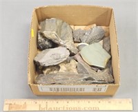 Fossils; Geological Interest Lot