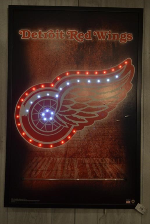 23" x 35" Lighted Detroit Re Wings Hockey Picture