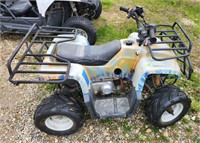 Kids Quad. Needs a carb