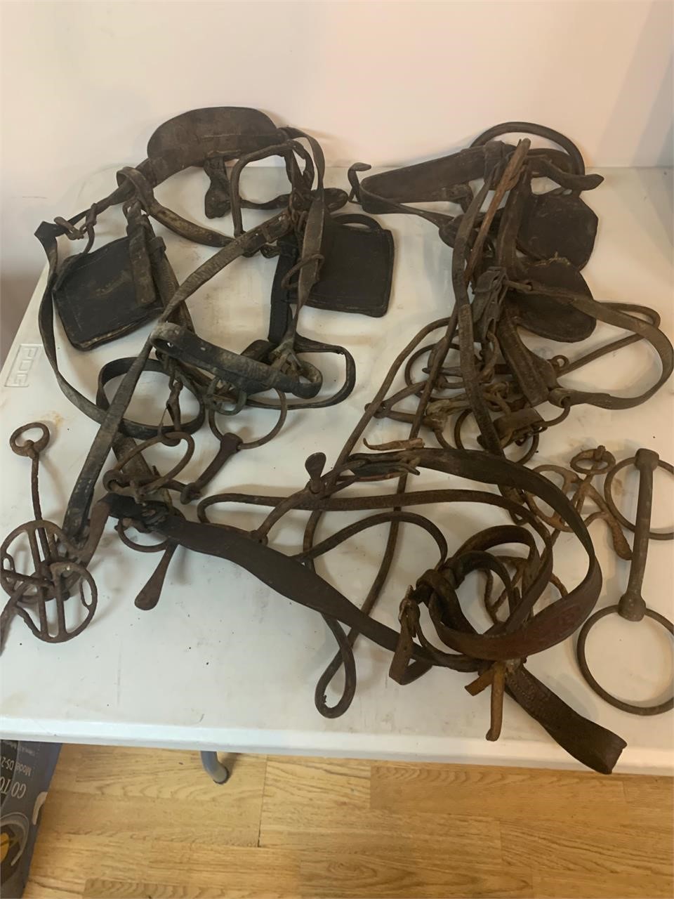 Horse bridle, bits and Misc.