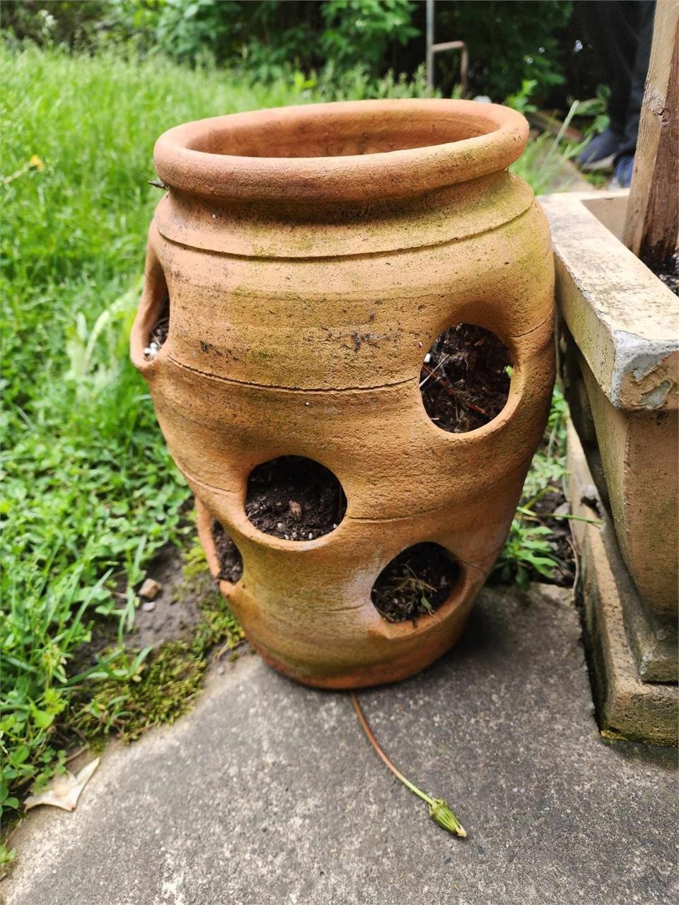 Potting Plant outdoor garden pot