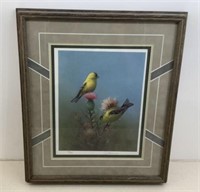 * Framed/Matted Gromme S/N Print Goldfinch