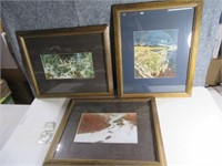 (3) Doolittle Framed Art Prints