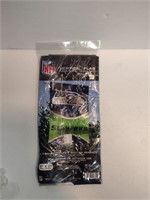 Seahawks Vertical Flag  Lot 1