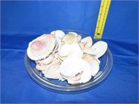 Bowl of Seashells