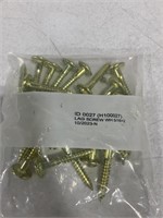 22 PACK OF GOLD LAG SCREWS, 5/16 X 2 IN.