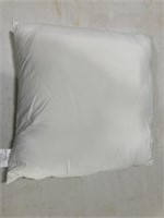 White Pillow Insert. Appears to be used.