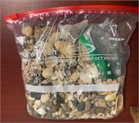 Large Bag of Sea Shells