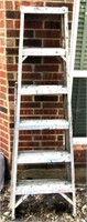 5' Aluminum Ladder