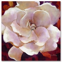 Gardenia Limited Edition Giclee on Canvas by Simon