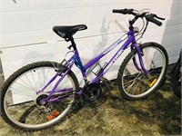 18 speed mountain bike