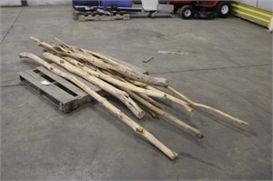 (9) Unfinished Diamond Willow Walking Sticks